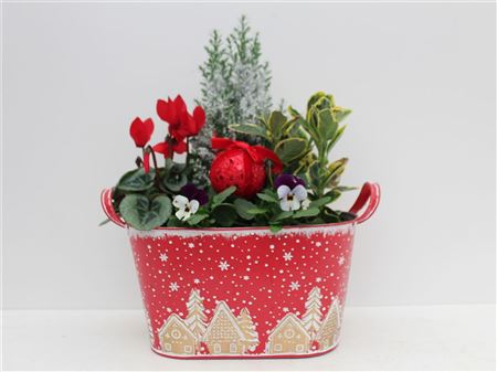 Arrangement Xmas Red Metal Oval thumbnail