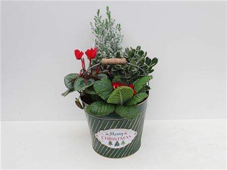 Arrangement Xmas Vintage Pail Red-gold-green thumbnail