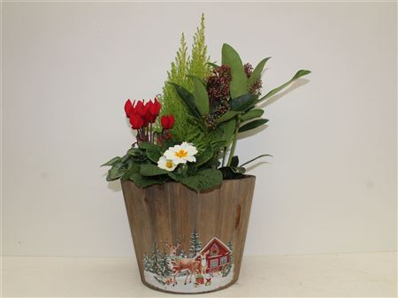 Arrangement Xmas Wooden Planter thumbnail