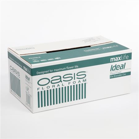 Oasis Ideal Brick (box20) thumbnail