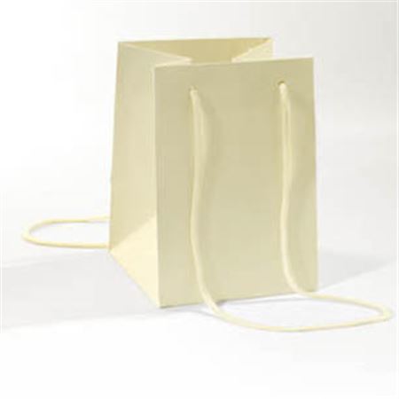 Bag Essence Hand Tie H24cm Cream (pk10) thumbnail