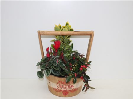 Arrangement Xmas Wooden Basket thumbnail